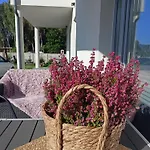 Lesne Blizniaki Holiday home Mieroszyno