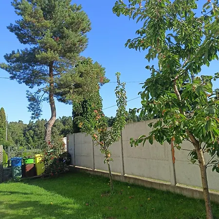Lesne Blizniaki