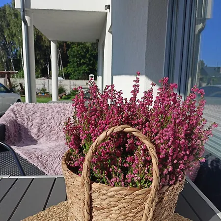 Lesne Blizniaki Casa vacanze Mieroszyno