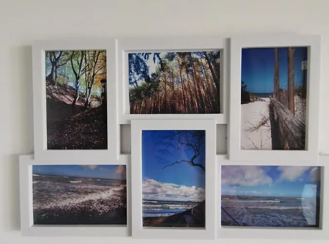 Lesne Blizniaki Semesterbostad Mieroszyno