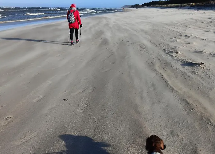 Lesne Blizniaki Mieroszyno