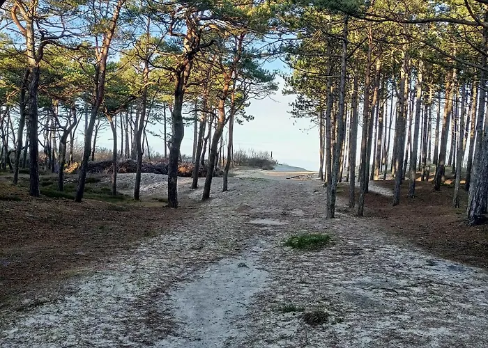 Lesne Blizniaki Semesterbostad