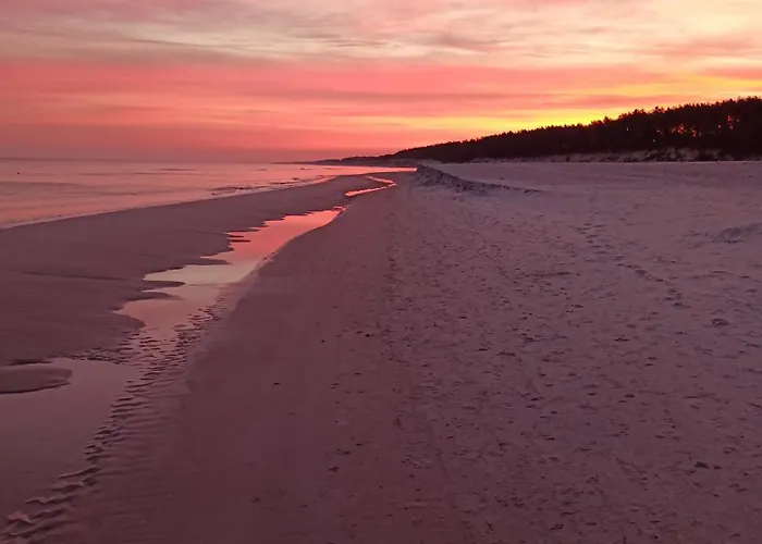 Semesterbostad Lesne Blizniaki Mieroszyno