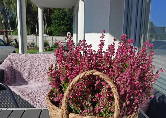 Lesne Blizniaki Semesterbostad Mieroszyno